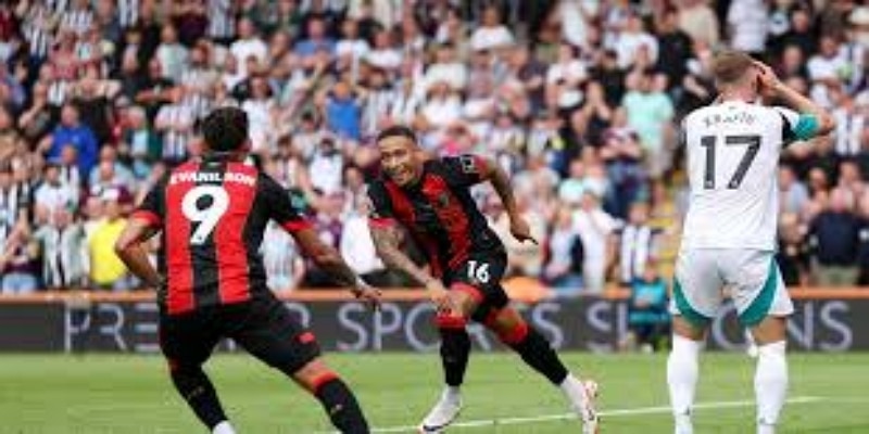 关键数据支持 - 双赢彩票