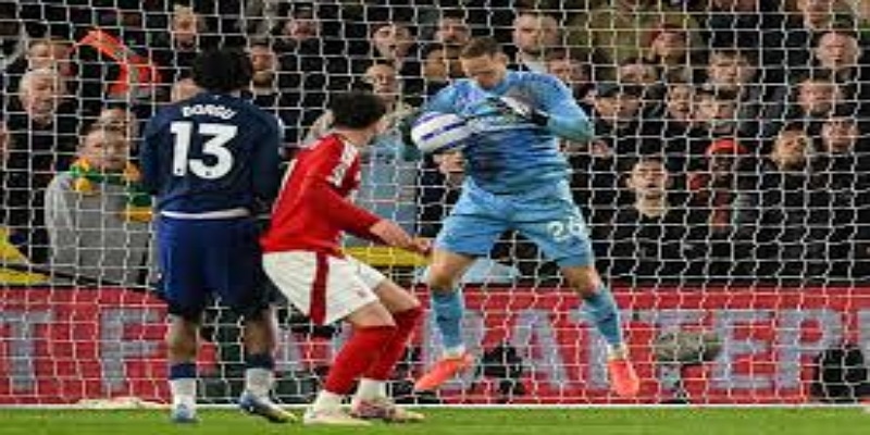 霍奇森的应变策略与球队未来展望 - 双赢彩票