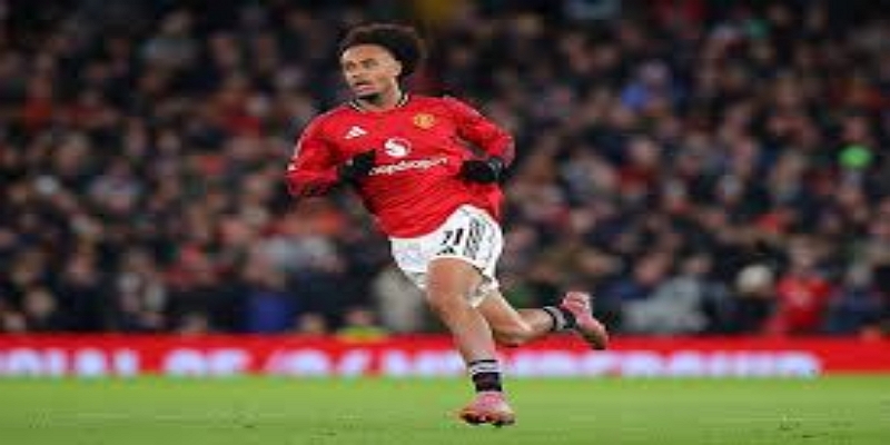 战术层面考量：曼联的阵容与马夏尔定位-双赢彩票