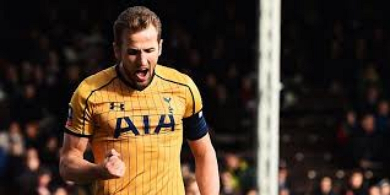 热刺名宿发声：如果想要冠军，或许必须离开-双赢彩票