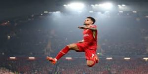 冠军底蕴的缩影：个人与整体的完美融合-双赢彩票